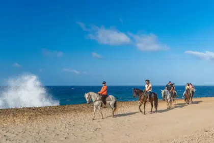 /Aruba_horse_Tours-04.jpg